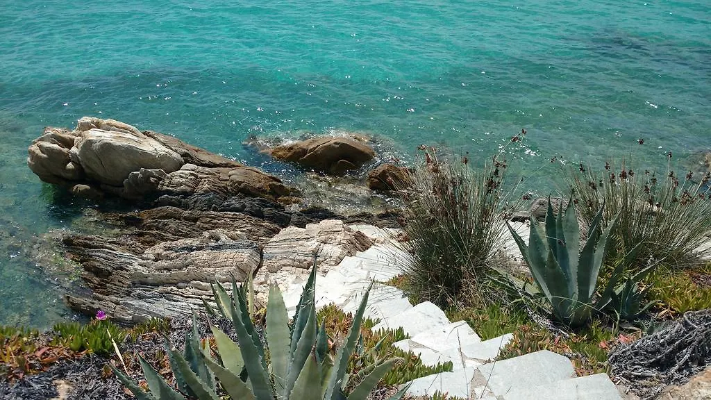 Dimitris House Apartment Kalogria  Greece